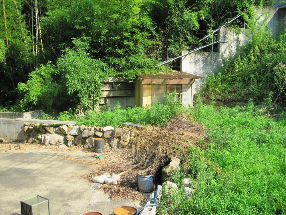 Garden. Local (July 2013) Shooting