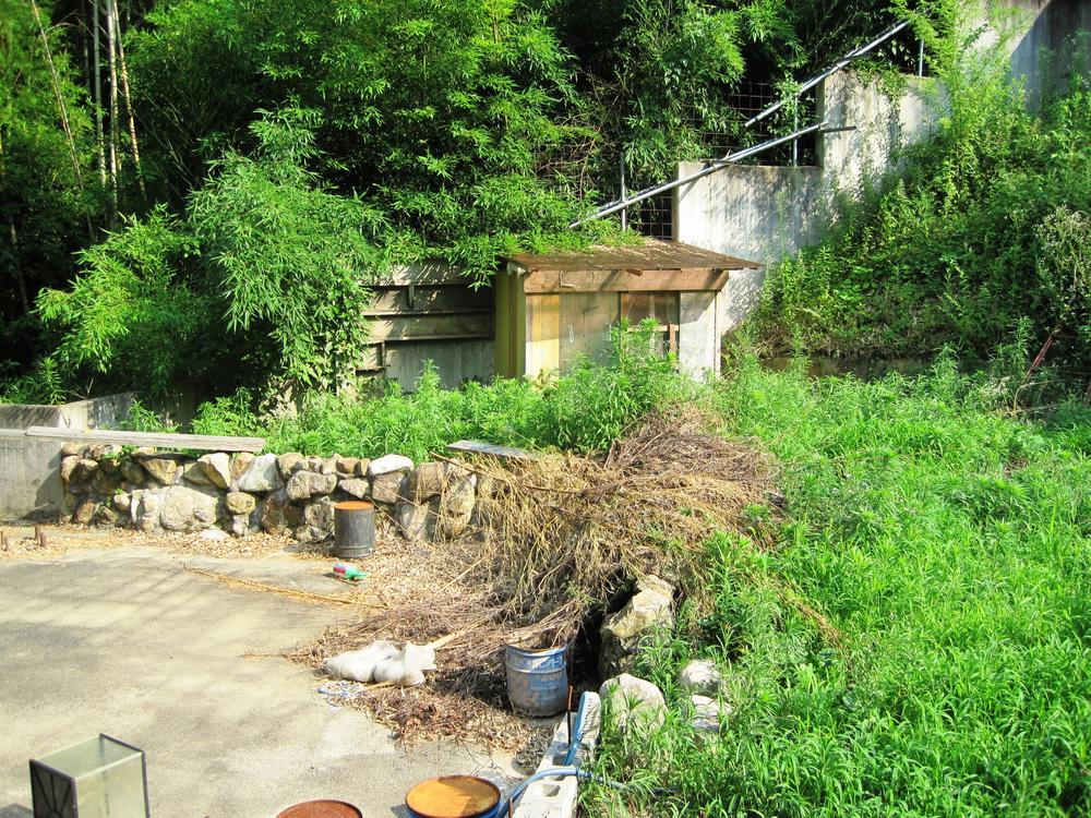 Garden. Local (July 2013) Shooting