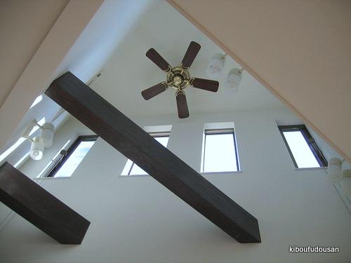 Same specifications photos (Other introspection)