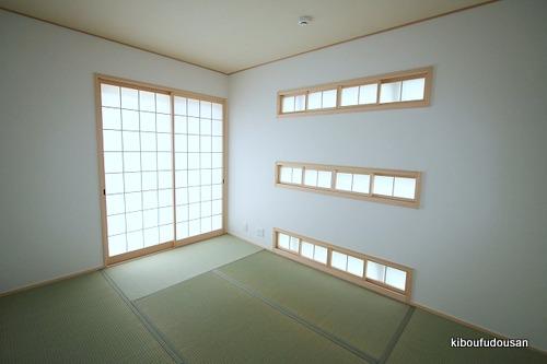 Same specifications photos (Other introspection)