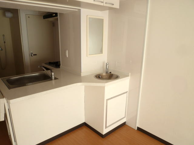 Kitchen. Face-to-face kitchen