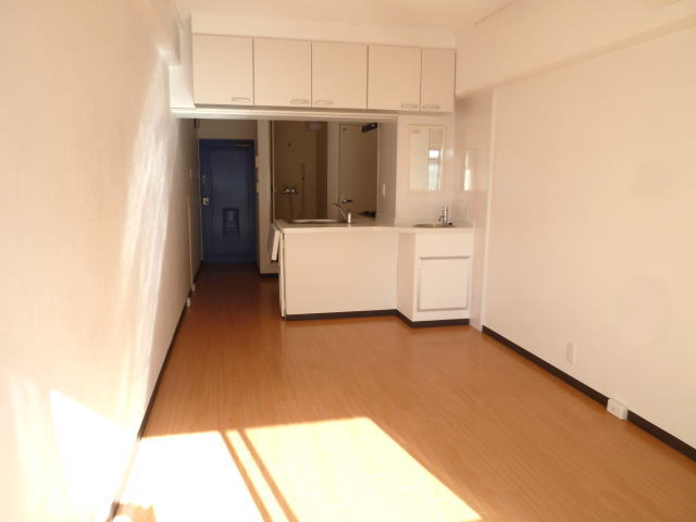 Living and room. Sunny bright room