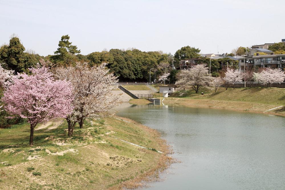 park. Niteko 150m 2-minute walk to pond. Rich moisture and beautiful diverticulum of the place to be healed in green water. Crowded with a lot of people