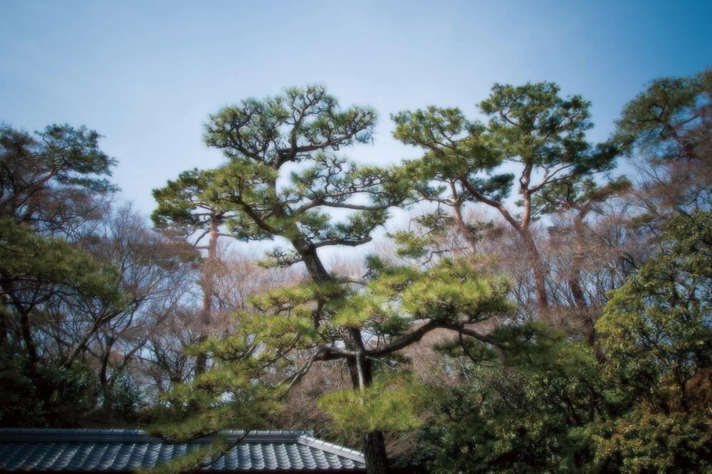 Streets around. Followed by streets a stately that first 70m to rooftops of surrounding local three scenic zone and the first kind low-rise residential-only area