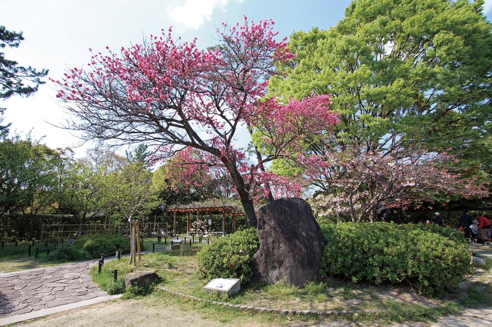 park. 750m walk to Nishida park 10 minutes. It is planted plant 72 kinds of Manyoshu Yukari. Enjoy views of the four seasons