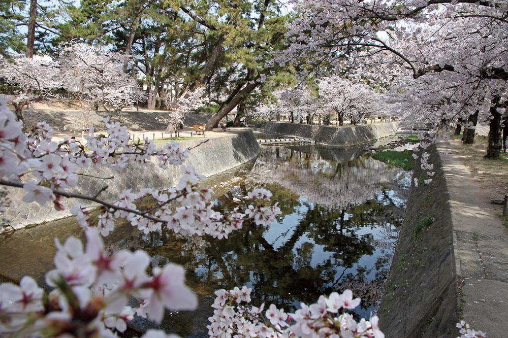 park. 9-minute walk from the Shukugawa park that is loved by many people as the cherry blossoms. I can not wait for spring season