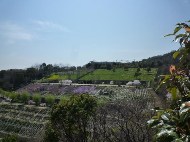 View photos from the dwelling unit