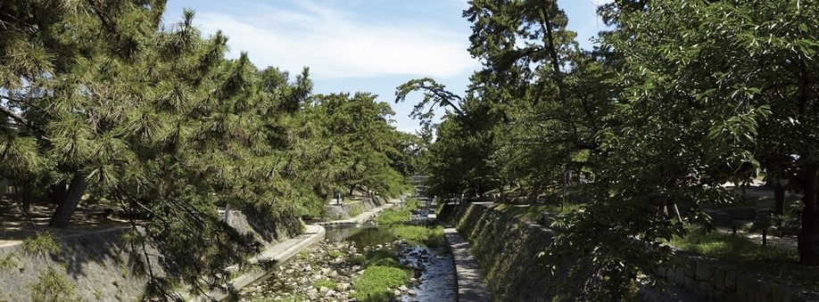 Blessed nature becomes the scene of everyday. A 9-minute walk to the cherry tree is followed Shukugawa park along the river (about 700m)