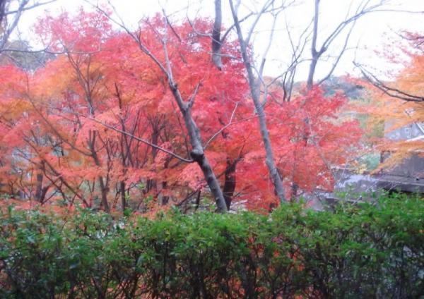 View photos from the dwelling unit. ■ View photos (autumn) ■ You can enjoy the changing seasons. It is also recommended the view from the rooftop garden.