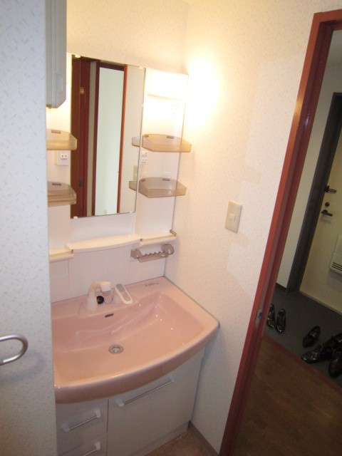 Washroom. Shampoo wash basin