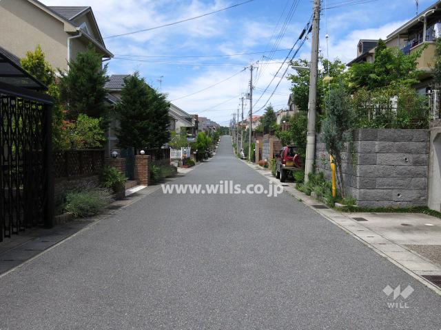 Other local. Property of the north front of the road (from the west)