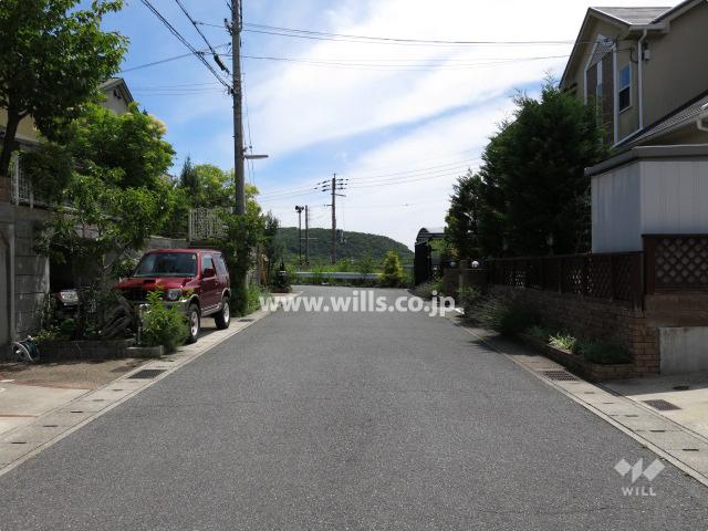 Other local. Property of the north front of the road (from the east)