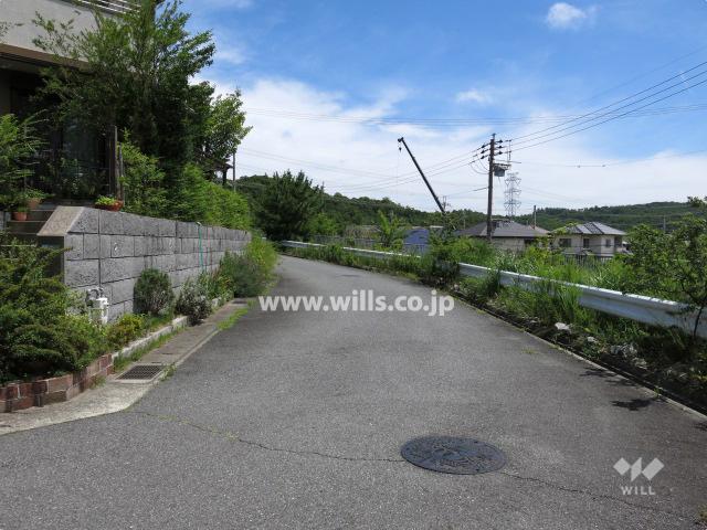 Other local. Property of the south front of the road (from the west)