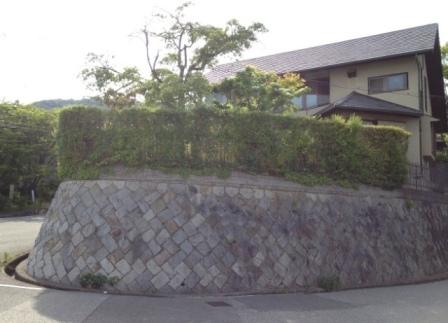 Local photos, including front road