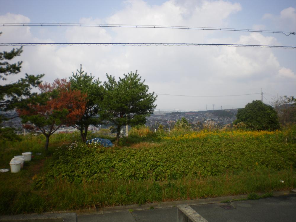 Local photos, including front road. Local (11 May 2013) Shooting View from the site