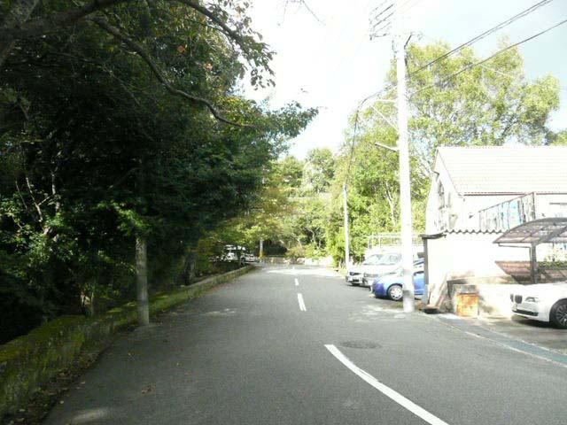 Local photos, including front road. Local (10 May 2013) Shooting