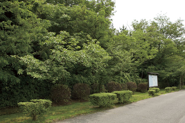 Surrounding environment. KinoeYoen MeJin'yama green space (18 mins ・ About 1390m)