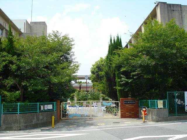Primary school. Toinokuchi elementary school