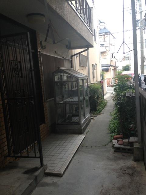 Local photos, including front road