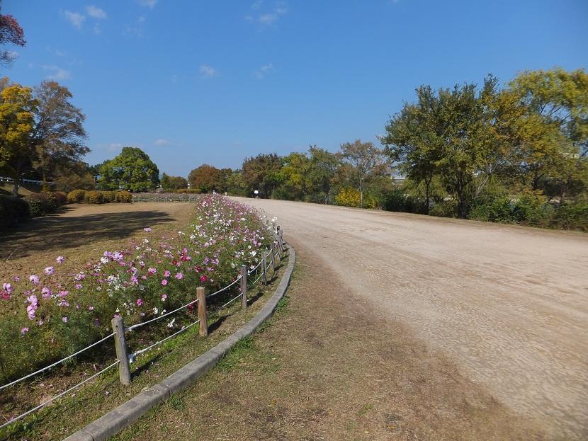 Other. Mukogawa riverbed