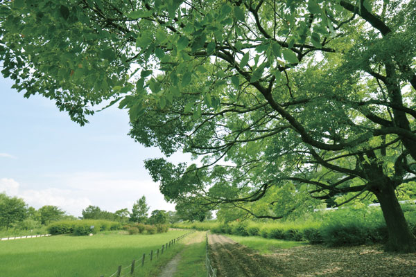 Surrounding environment. Mukogawa riverbed (a 10-minute walk ・ About 780m)