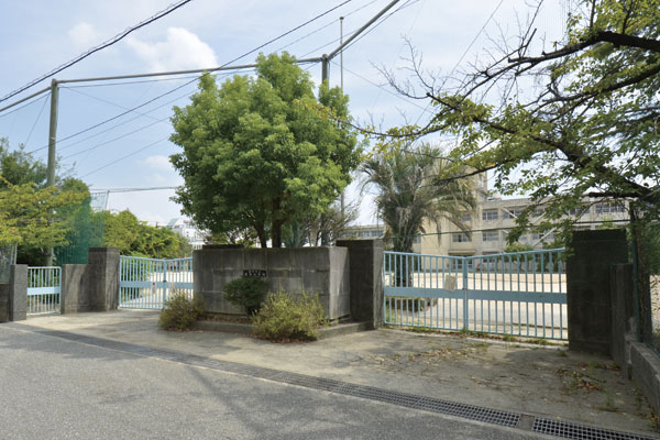 Surrounding environment. Municipal tile tree elementary school (a 9-minute walk ・ About 670m)