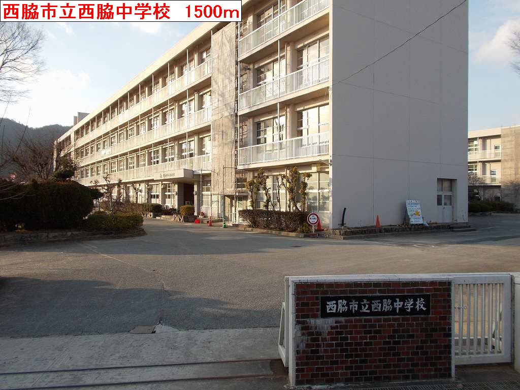 Junior high school. Nishiwaki 1500m until junior high school (junior high school)