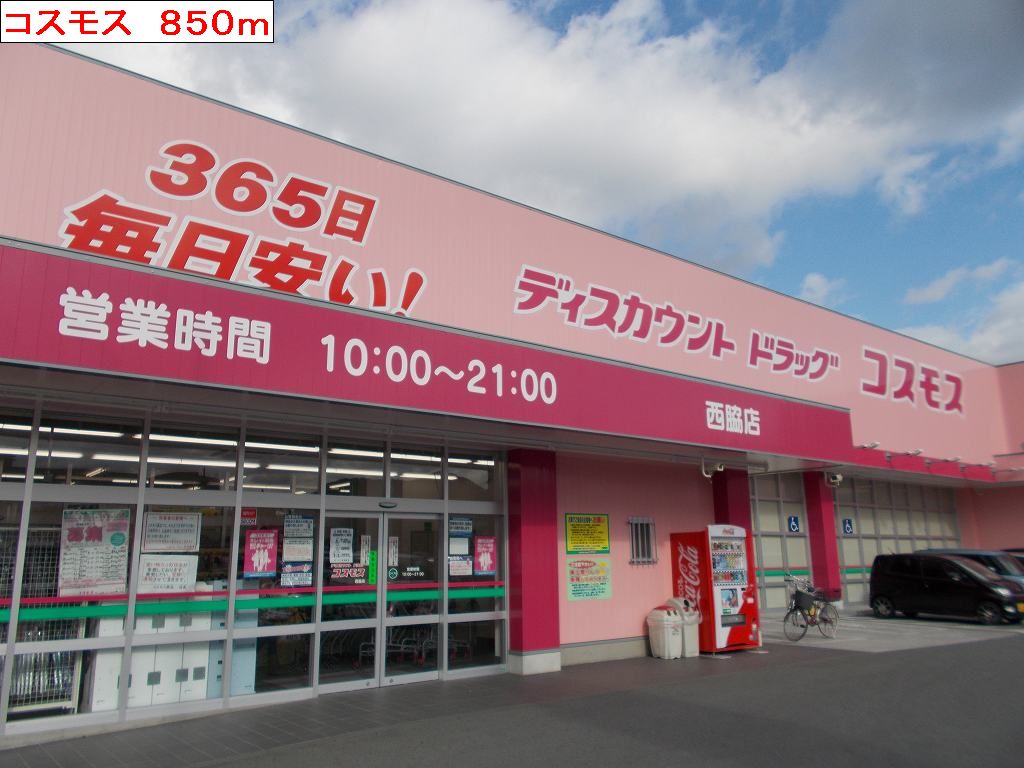 Dorakkusutoa. 1100m to the cosmos (drugstore)