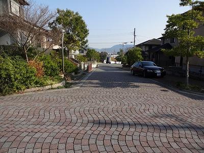 Local photos, including front road. Local (11 May 2013) Shooting