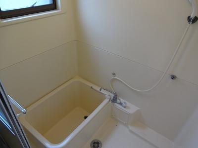 Bathroom. Indoor (12 May 2013) Shooting