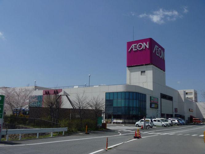 Other. ion