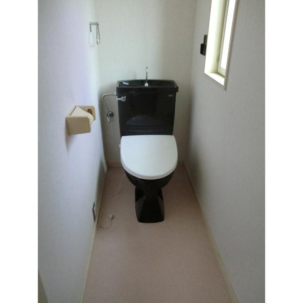 Toilet. Toilet