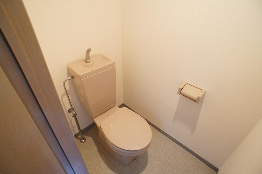 Toilet. Toilet beautiful renovated!