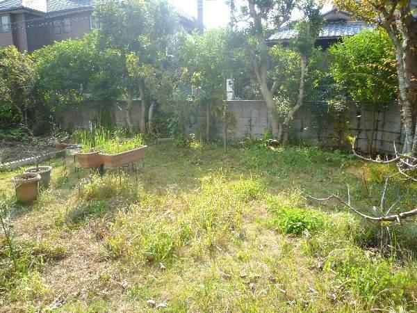 Garden. The south side of the garden will hit well sun!