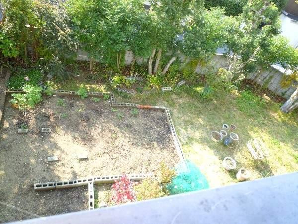 Garden. Garden as seen from the balcony!