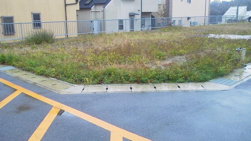 Local photos, including front road. Local (11 May 2013) Shooting