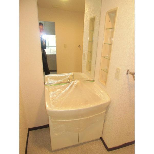 Washroom. Bathroom vanity