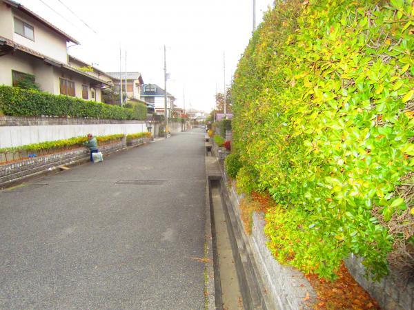 Local photos, including front road. South road 6m