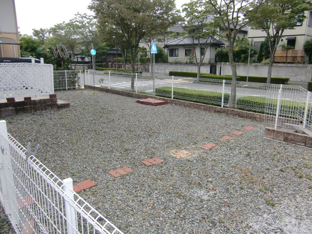 Other local. Local (August 2012) shooting