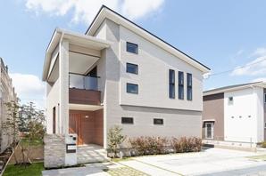 Shed roof stylish appearance. A strong presence is also noted in the design of the terrace and rhythmic window (model house)