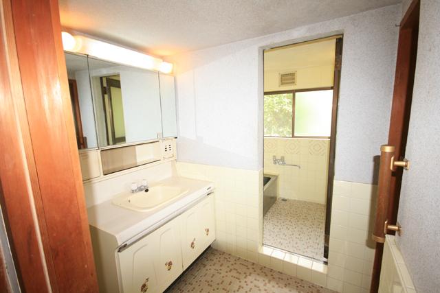 Wash basin, toilet. Main house State of the wash room