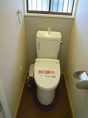 Toilet. Local (12 May 2013) Shooting