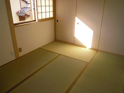 Non-living room. Local (12 May 2013) Shooting