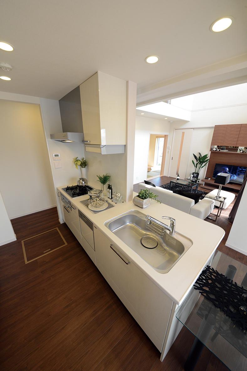 Kitchen. Indoor (March 2013) Shooting