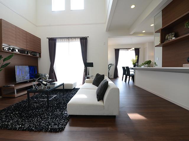 Living. Indoor (March 2013) Shooting