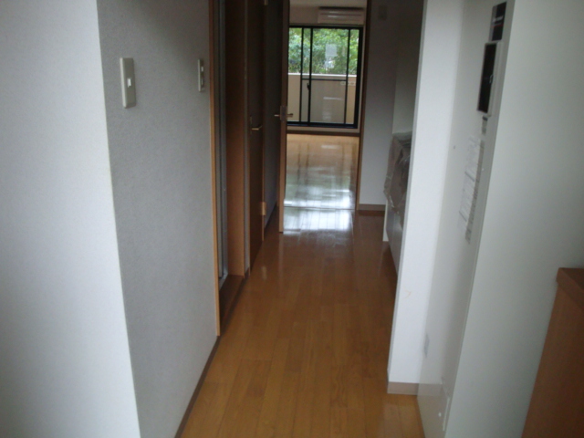 Entrance. Clean the entrance space