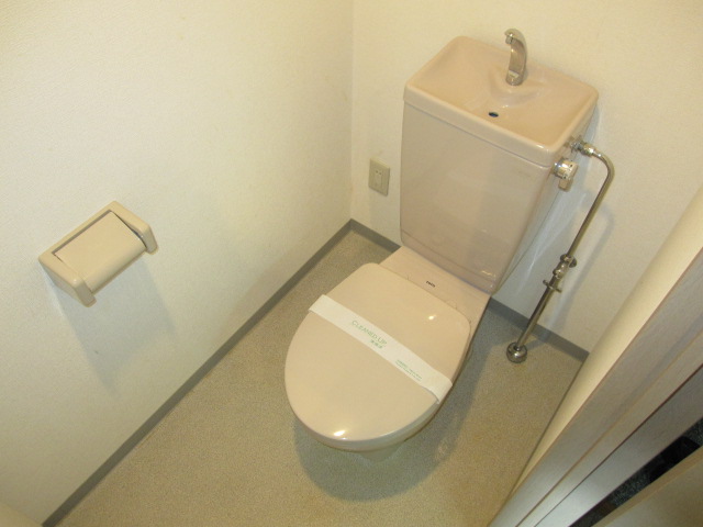 Toilet. Beautiful toilet (* ^^) v