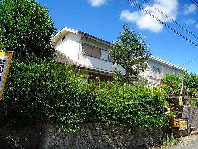 Local appearance photo. Local (August 2013) Shooting