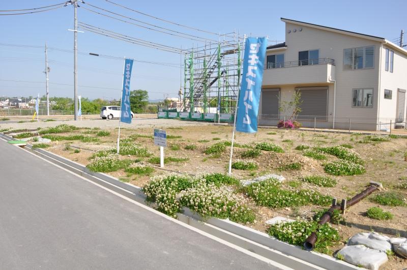 Local land photo. It is a popular south-facing road compartment (262 No. land)