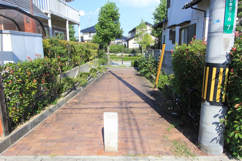 Local photos, including front road. Local (September 2013) Shooting